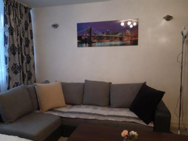 Cherry Apartament W Scislym Centrum وارسو المظهر الخارجي الصورة